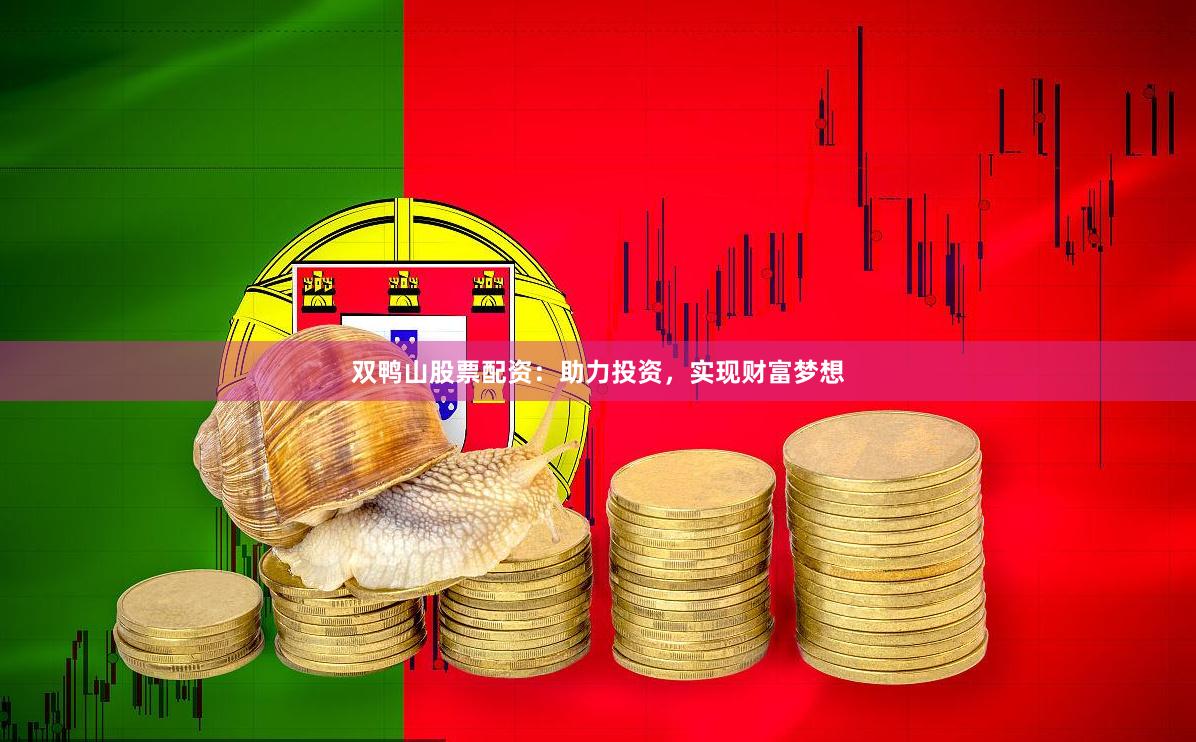 双鸭山股票配资：助力投资，实现财富梦想
